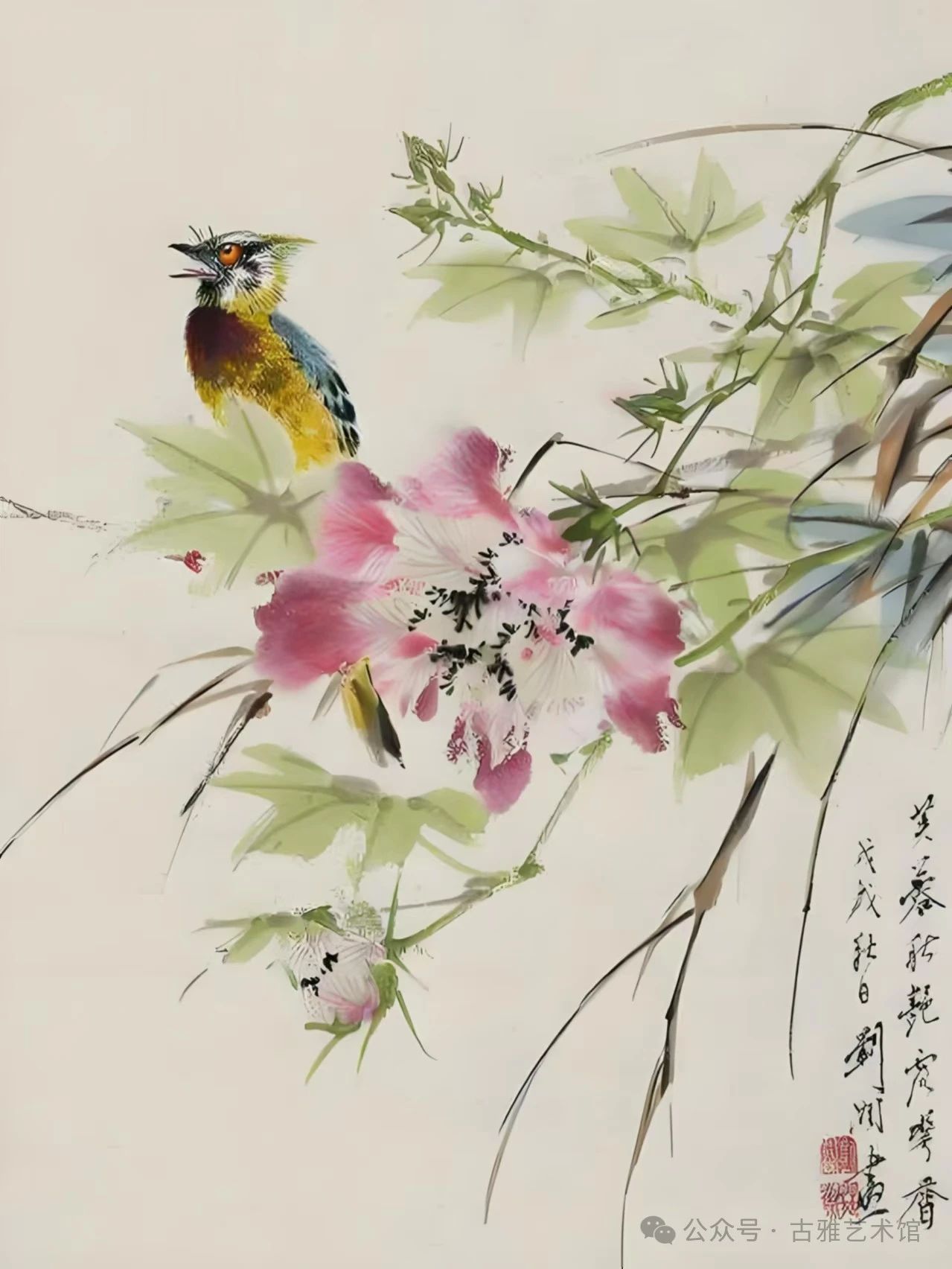 圖片